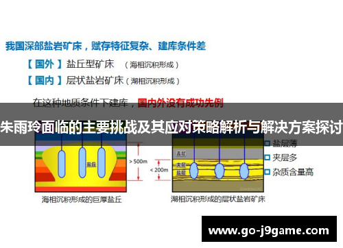 朱雨玲面临的主要挑战及其应对策略解析与解决方案探讨