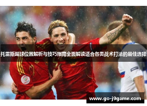 托雷斯踢球位置解析与技巧指南全面解读适合各类战术打法的最佳选择