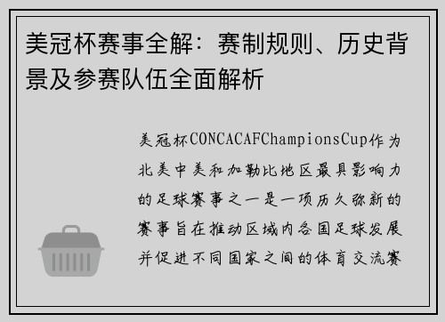 美冠杯赛事全解：赛制规则、历史背景及参赛队伍全面解析