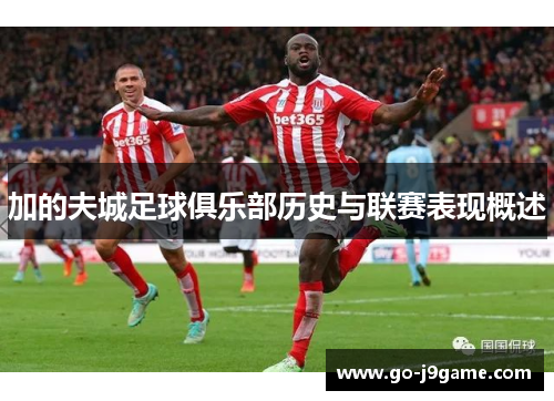 加的夫城足球俱乐部历史与联赛表现概述