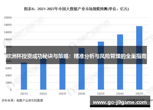 欧洲杯投资成功秘诀与策略：精准分析与风险管理的全面指南