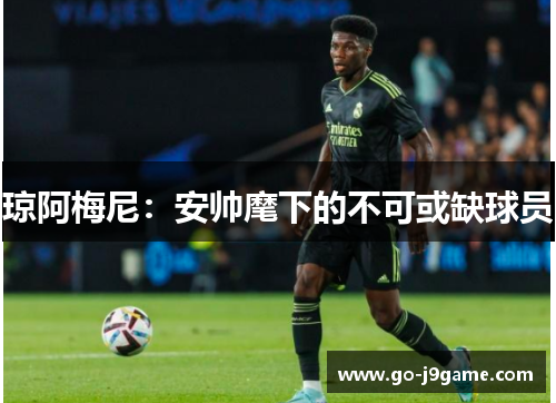 琼阿梅尼：安帅麾下的不可或缺球员